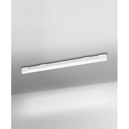 Ledvance - LED Iluminación bajo mueble BATTEN LED/10W/230V