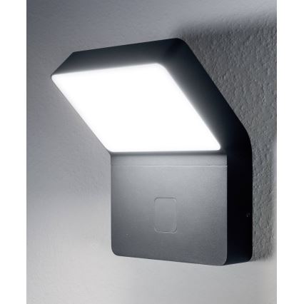 Ledvance - LED Lámpara exterior con sensor ENDURA LED/12W/230V IP44