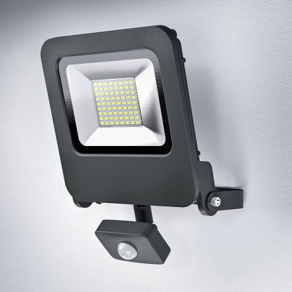 Ledvance - LED Reflector con sensor ENDURA LED/50W/230V IP44