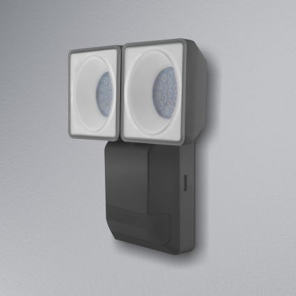 Ledvance - Luminaria de pared LED para exteriores con sensor SPOT 2xLED/8W/230V IP55