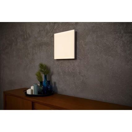 Ledvance - Panel LED de superficie FRAMELESS LED/40W/230V 3000K