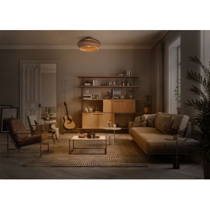 Ledvance - Plafón DECOR CARDBOARD 1xE27/15W/230V diá. 40 cm