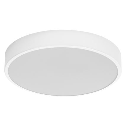 Ledvance - Plafón LED ORBIS SLIM LED/20W/230V blanco