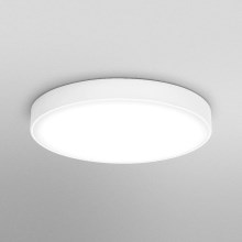 Ledvance - Plafón LED ORBIS SLIM LED/36W/230V blanco