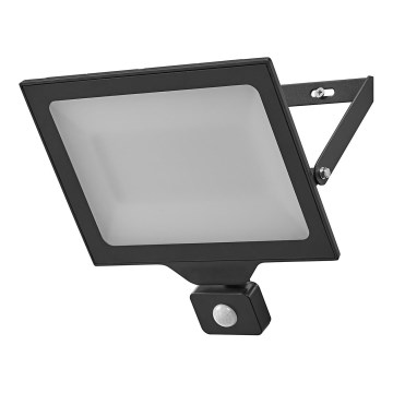 Ledvance - Proyector de pared LED para exteriores con sensor FLOODLIGHT ESSENTIAL LED/100W/230V IP65