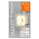 Ledvance - Toma de corriente inteligente con iluminación LED regulable SMART+ PLUG 3680W Wi-Fi