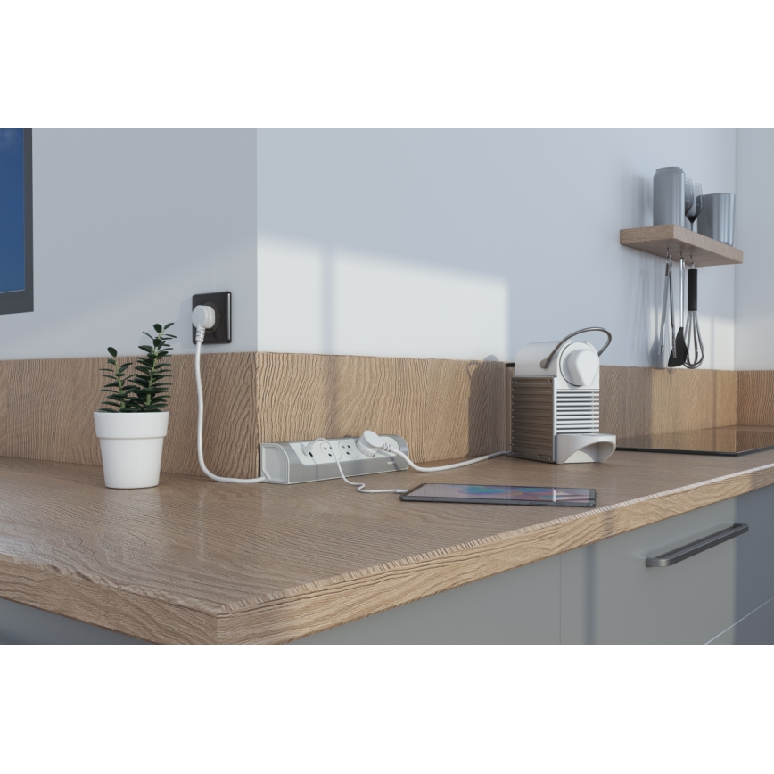 Legrand 049406 - Cable de extensión 3Z Tipo E + USB-A + USB-C 1m plata/blanco