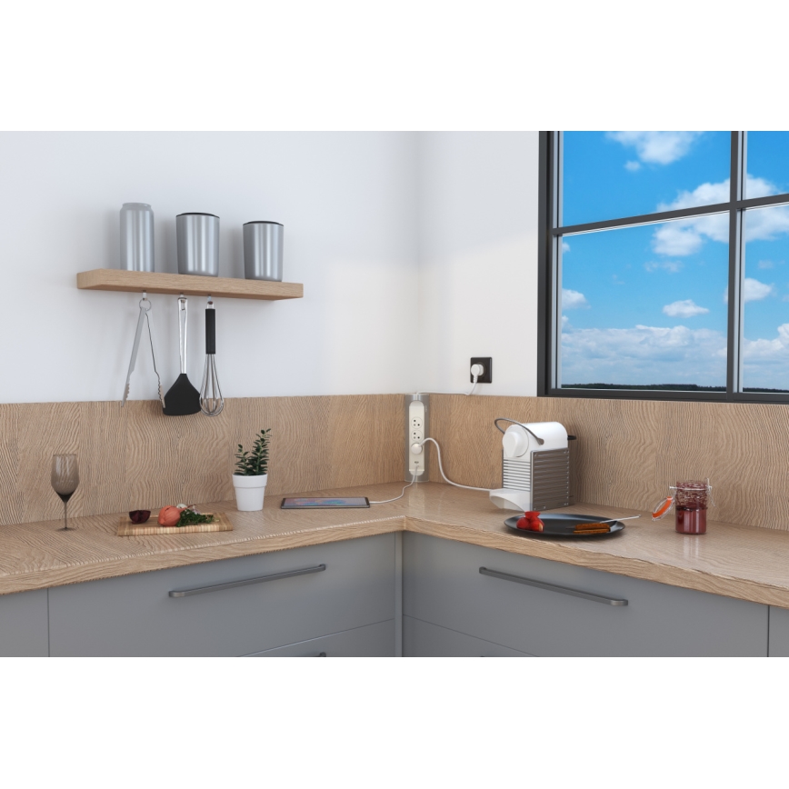 Legrand 049406 - Cable de extensión 3Z Tipo E + USB-A + USB-C 1m plata/blanco