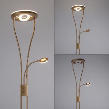 Leuchten Direkt 11778-60 - Lámpara de pie LED regulable HELIA LED/16,8W/230V + LED/7,6W dorado