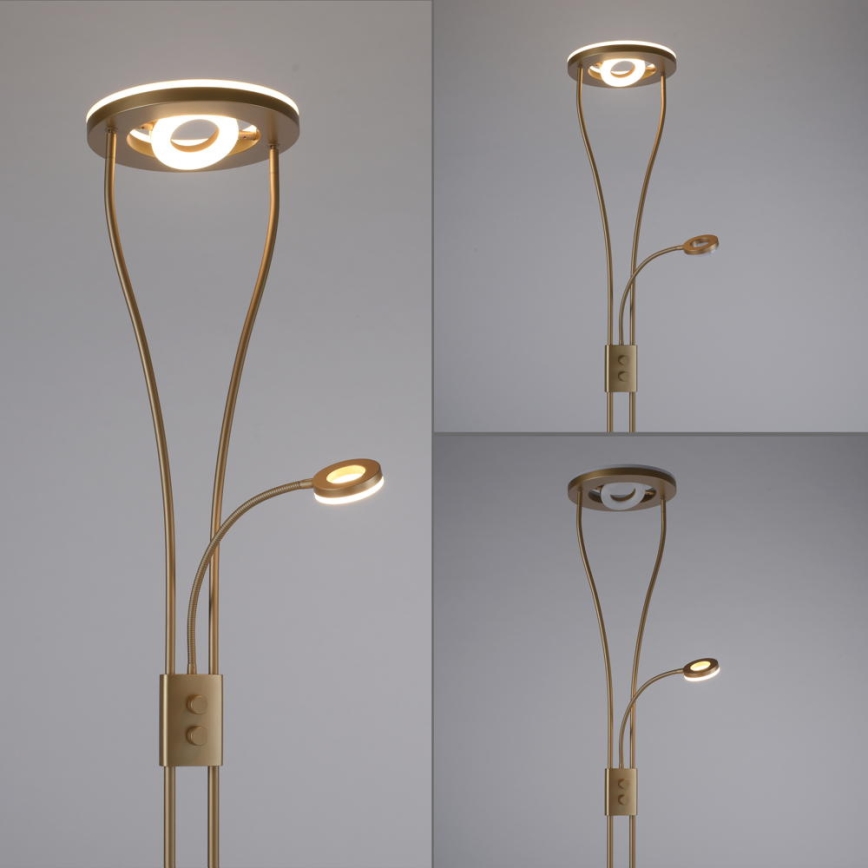 Leuchten Direkt 11778-60 - Lámpara de pie LED regulable HELIA LED/16,8W/230V + LED/7,6W dorado