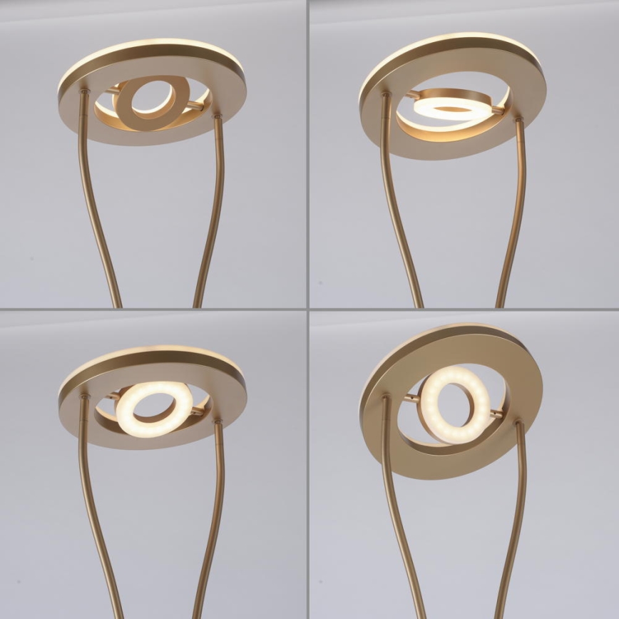 Leuchten Direkt 11778-60 - Lámpara de pie LED regulable HELIA LED/16,8W/230V + LED/7,6W dorado