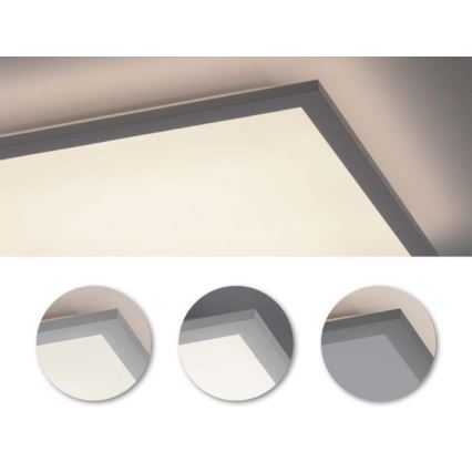 Leuchten Direkt 12204-16 - Panel LED de superficie FLAT LED/24W/230V