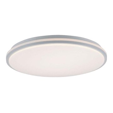 Leuchten Direkt 14208-16 - Plafón LED regulable COLIN LED/18W/230V