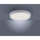 Leuchten Direkt 14217-16 - Plafón LED regulable LORENA 1xLED/35W/230V gris + mando a distancia