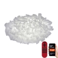 Leuchten Direkt 14280-16 - Plafón LED RGB regulable NAOMI LED/21,6W/230V 2700-5000K + mando a distancia