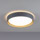 Leuchten Direkt 14347-15 - Lámpara de techo LED regulable EMILIA LED/28,8W/230V gris