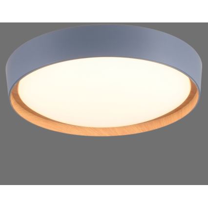 Leuchten Direkt 14347-15 - Lámpara de techo LED regulable EMILIA LED/28,8W/230V gris