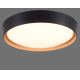 Leuchten Direkt 1434718 - Plafón LED regulable EMILIA 28,8W/230V negro