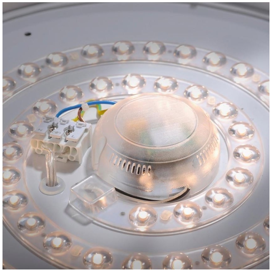 Leuchten Direkt 14422-17 - Plafón LED para baño con sensor LAVINIA LED/18W/230V IP44