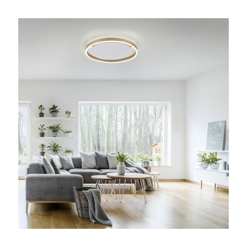 Leuchten Direkt 15391-60 - Plafón LED regulable RITUS LED/20W/230V latón