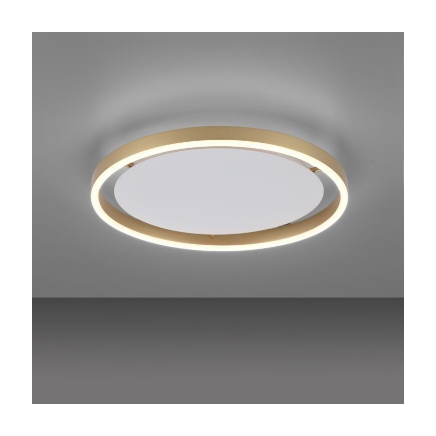 Leuchten Direkt 15391-60 - Plafón LED regulable RITUS LED/20W/230V latón