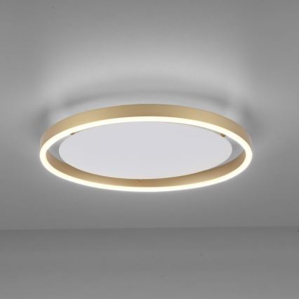 Leuchten Direkt 15392-60 - Plafón LED regulable RITUS LED/30W/230V latón