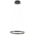 Leuchten Direkt 15393-13 - Lámpara de araña LED regulable RITUS LED/20W/230V negro