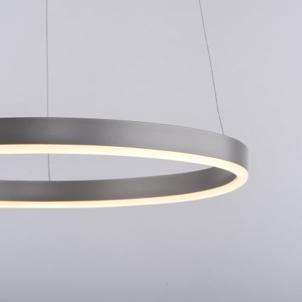 Leuchten Direkt 15393-95 - Lámpara de araña LED regulable RITUS LED/20W/230V cromo mate