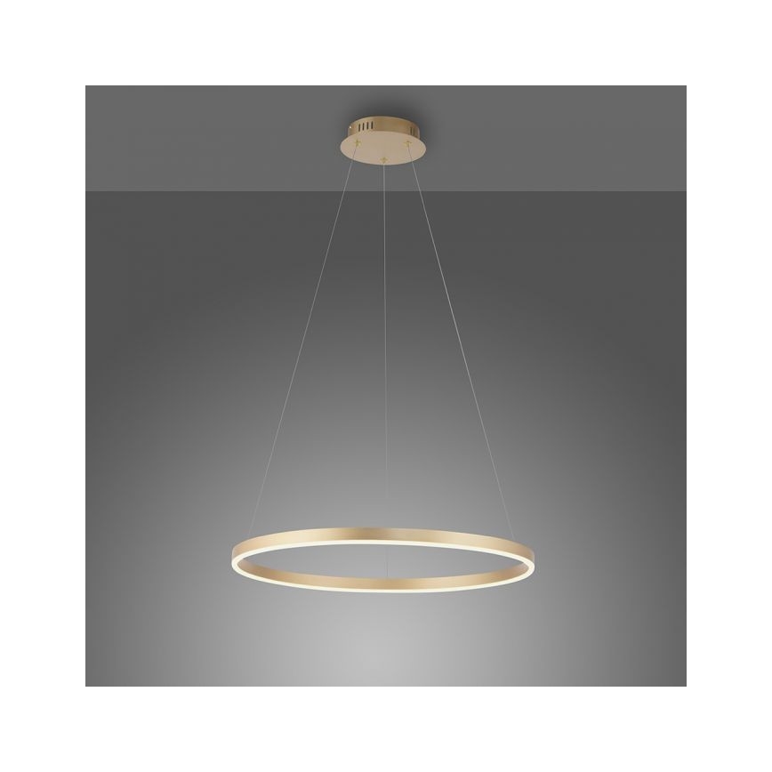 Leuchten Direkt 15394-60 - Lámpara de araña LED regulable con cable RITUS LED/30W/230V latón