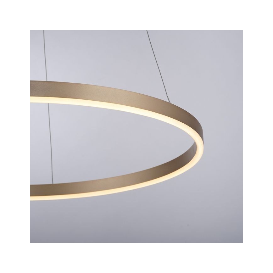 Leuchten Direkt 15394-60 - Lámpara de araña LED regulable con cable RITUS LED/30W/230V latón