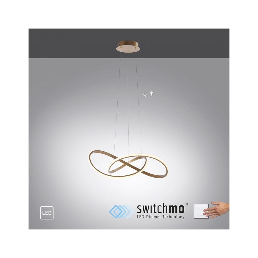 Leuchten Direkt 15402-60 - Lámpara de araña LED regulable sobre cable MARIA LED/25W/230V