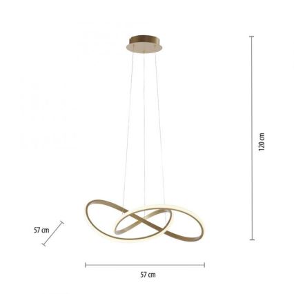 Leuchten Direkt 15402-60 - Lámpara de araña LED regulable sobre cable MARIA LED/25W/230V