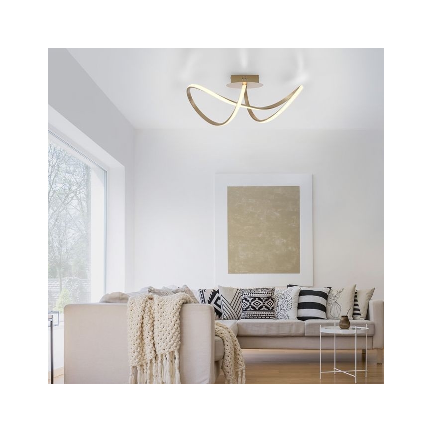 Leuchten Direkt 15403-60 - Lámpara de techo LED regulable MARIA LED/15,5W/230V