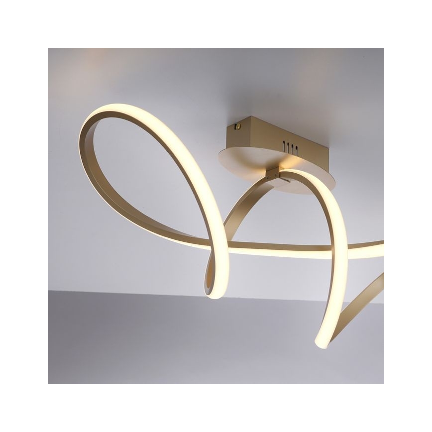 Leuchten Direkt 15403-60 - Lámpara de techo LED regulable MARIA LED/15,5W/230V