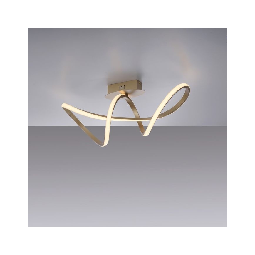 Leuchten Direkt 15403-60 - Lámpara de techo LED regulable MARIA LED/15,5W/230V