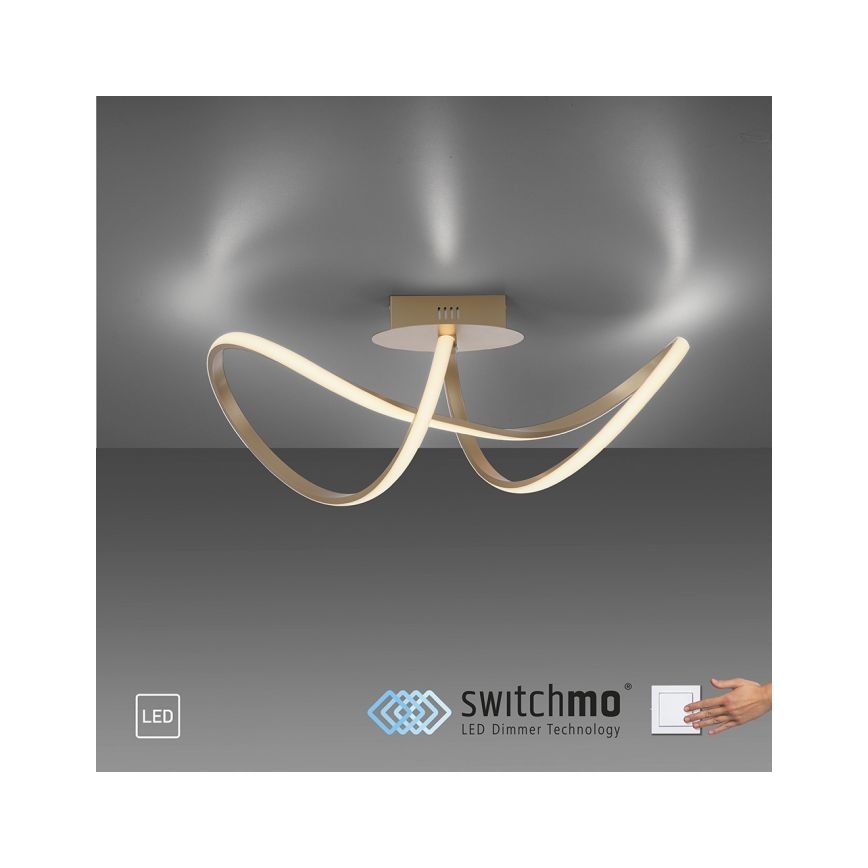 Leuchten Direkt 15403-60 - Lámpara de techo LED regulable MARIA LED/15,5W/230V