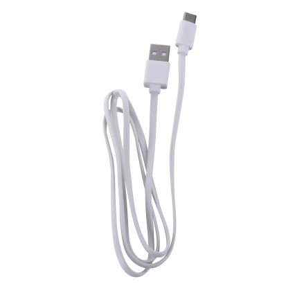 Leuchten Direkt 19250-16 - LED Lámpara de mesa recargable y regulable para exteriores EURIA LED/3W/5V 2600 mAh IP54 blanco