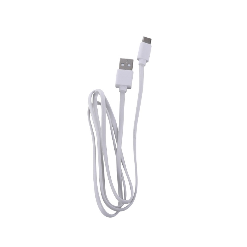 Leuchten Direkt 19250-40 - LED Lámpara de mesa recargable y regulable para exteriores EURIA LED/3W/5V 2600 mAh IP54 gris