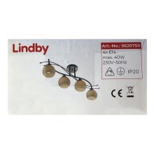 Lindby - Foco LEANDA 4xE14/40W/230V