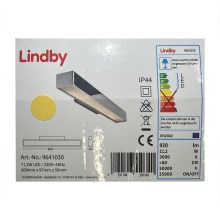 Lindby - Iluminación LED para espejos de baño KIANA LED/11,2W/230V IP44