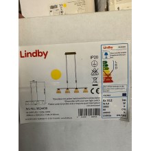 Lindby - Lámpara de araña LED regulable CERSEI 4xLED/4,8W/230V