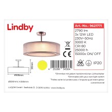 Lindby - Lámpara de araña LED regulable PIKKA 3xLED/12W/230V
