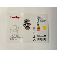 Lindby - Lámpara de araña sobre poste ROBYN 2xE27/40W/230V + 2xE27/25W/230V