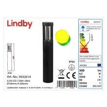 Lindby - Lámpara LED de exterior JORDIS LED/6,5W/230V