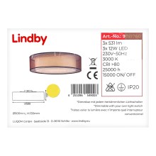 Lindby - Plafón LED regulable AMON 3xLED/12W/230V
