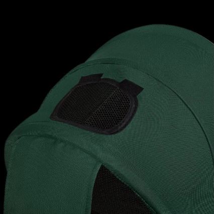 Lionelo - Triciclo infantil HAARI verde/negro