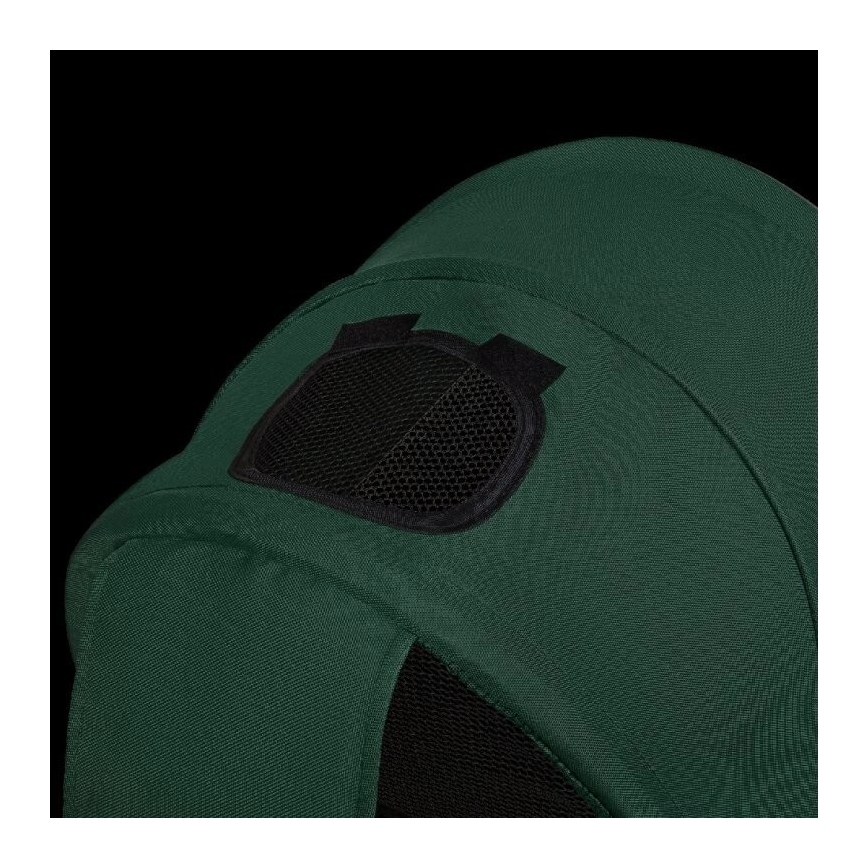 Lionelo - Triciclo infantil HAARI verde/negro