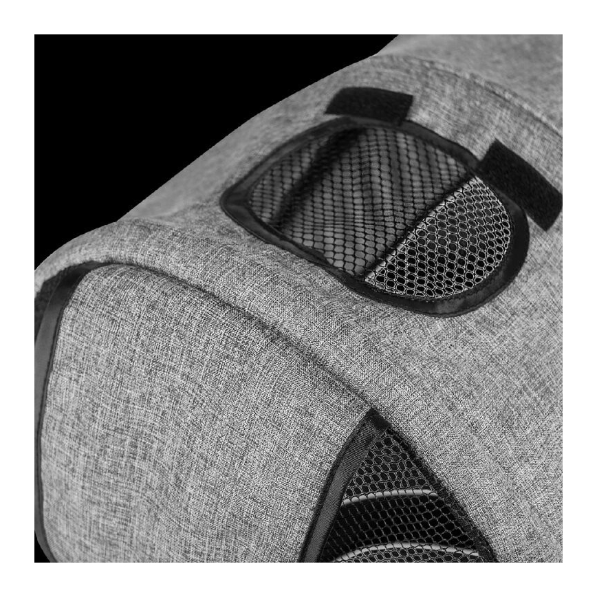 Lionelo - Triciclo infantil TRIS gris