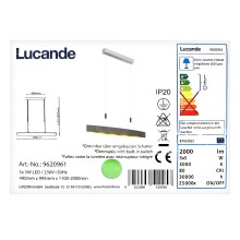 Lucande - Lámpara de araña LED regulable por cable LIO 5xLED/5W/230V