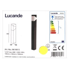 Lucande - Lámpara de exterior KARIN 1xE27/9W/230V IP44